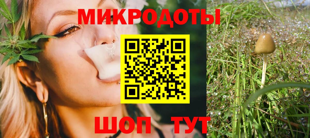 Псилоцибиновые грибы Psilocybine cubensis  Вход с VPN  Клин  Псилоцибиновые грибы GOLDEN TEACHER 