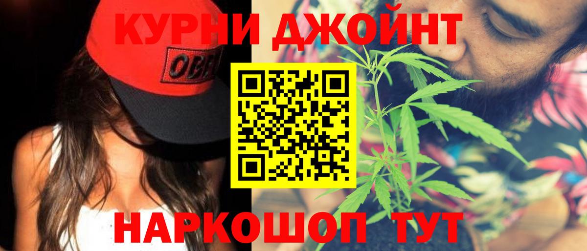 Бошки марихуана сатива  Конопля план  Клин  Вход с VPN  Шишки марихуана AK-47  Конопля Bruce Banner 